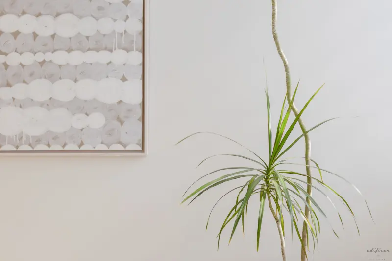 PARC 연남 이미지 19